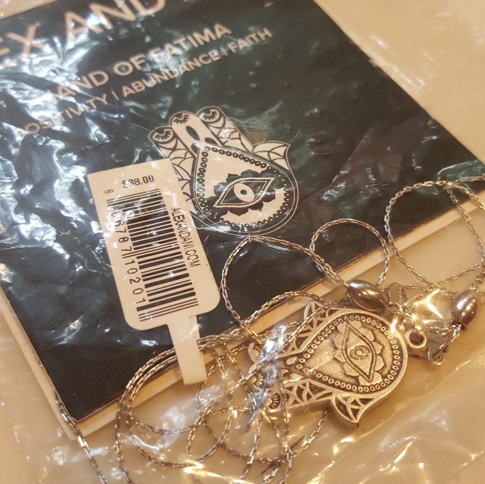 Alex and Ani Hamsa Necklace